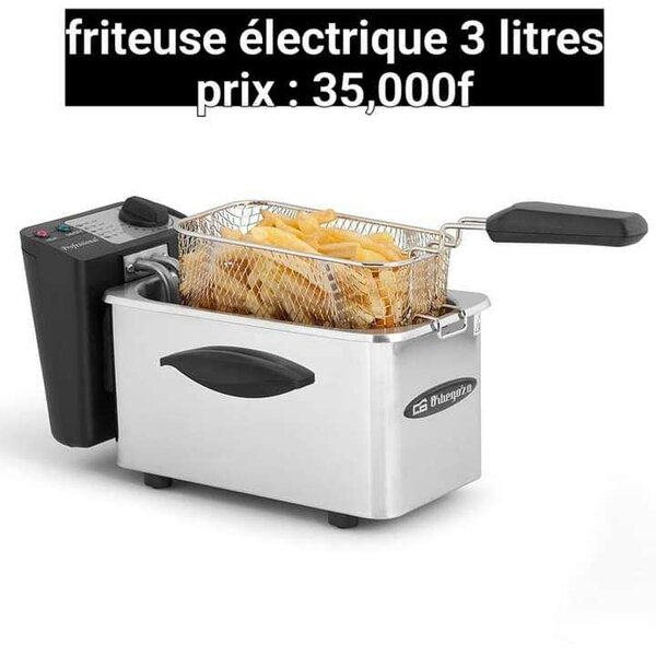 Friteuse électrique 3L