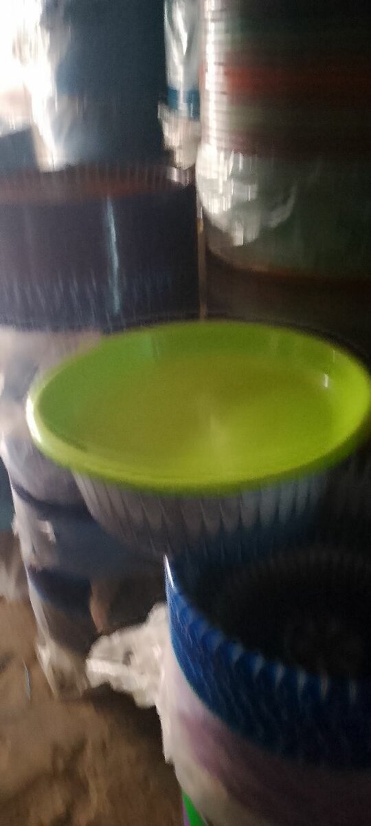 Bassine ave couver multicolore