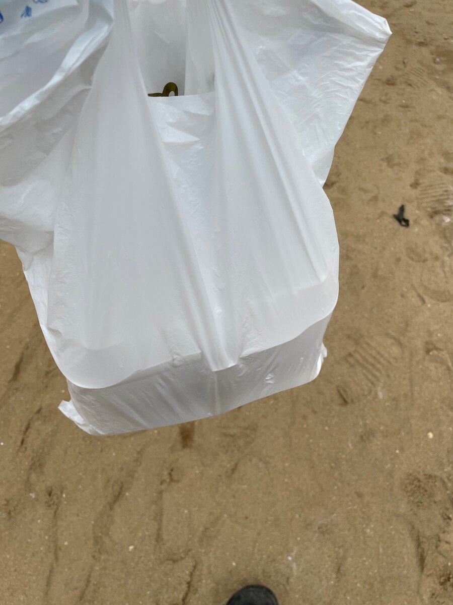 Salade nature +œuf+pain + mayo