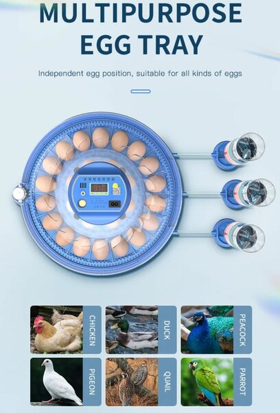 Kit Couveuse intelligente automatique