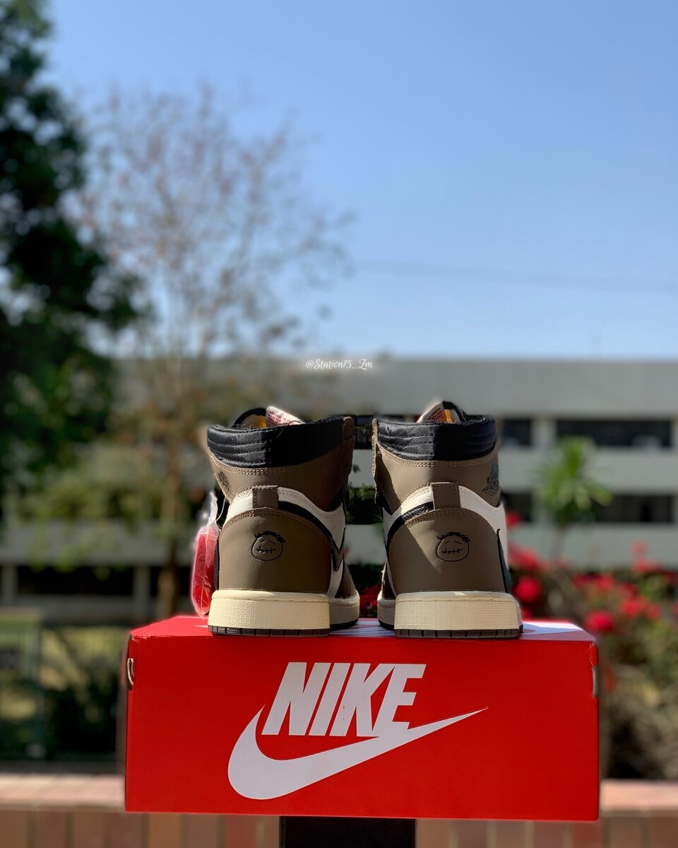 Air jordan 1 Retro High X Cactus Jack