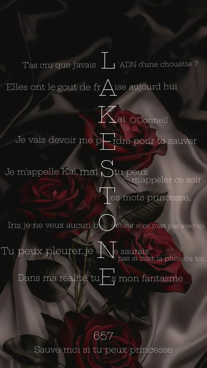 "Lakestone"T.1 (epub)