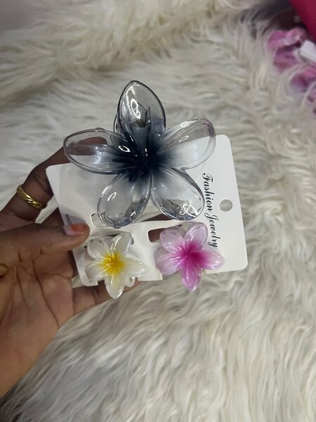 Ensemble de clips cheveux