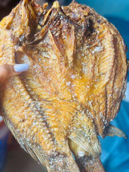 Luangwa Dry fish, perfectly preserved