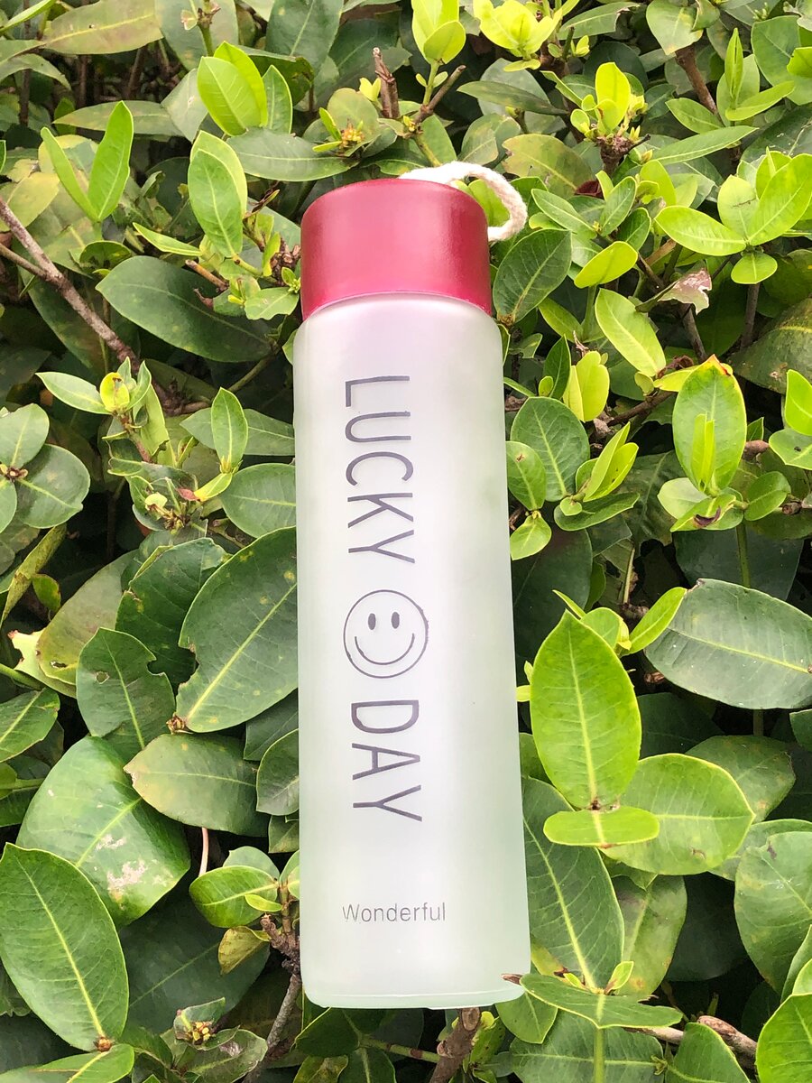 Gourdes cassables de 350ml