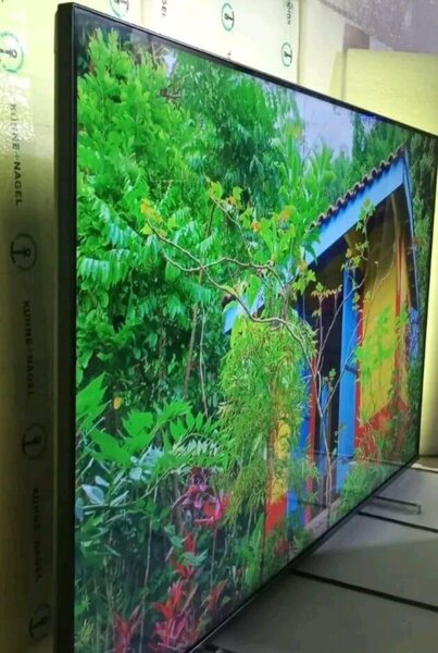 Téléviseur LED 4K Smart 55"