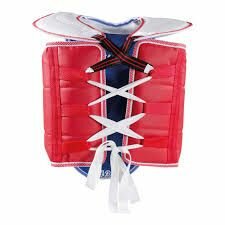 Plastron de taekwondo