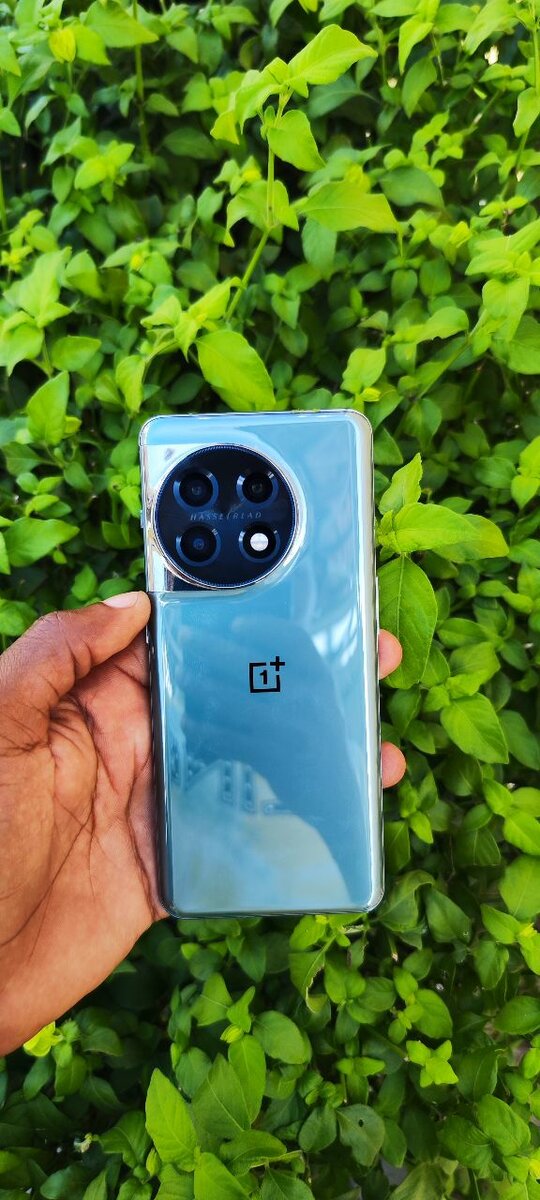 OnePlus 11