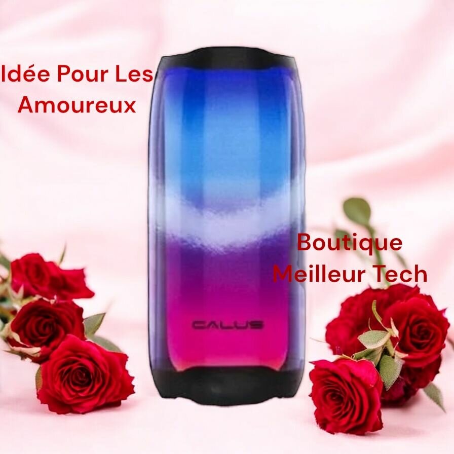 Calus Enceinte Bluetooth Pulse 5 - Prend Mémoire Poste Radio