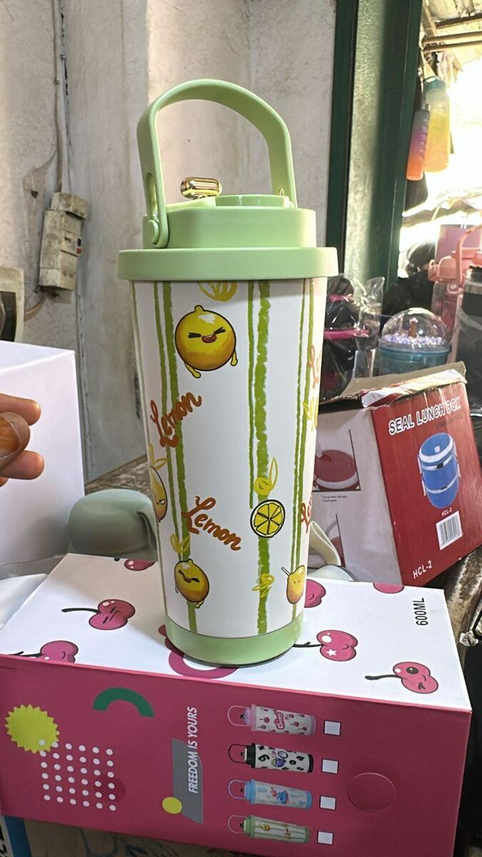 Gourde Isotherme en Acier Inox