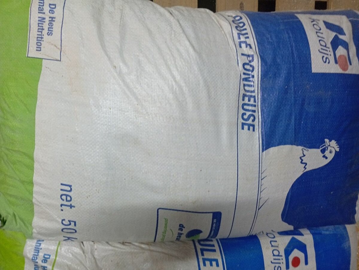 Pré ponte Pondeuse 50kg