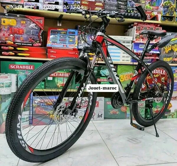 Vélo tout-terrain robuste