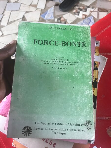 Livre "Force-Bonté" de B. Diallo