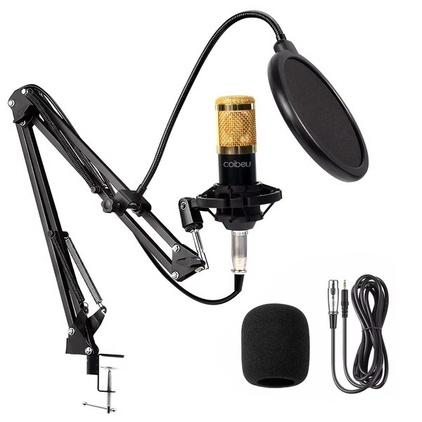 Microphone studio professionnel
