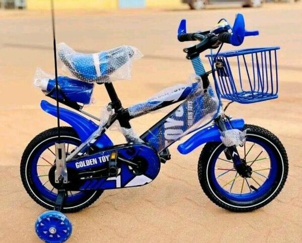 Vélo enfant GOLDEN TOY bleu