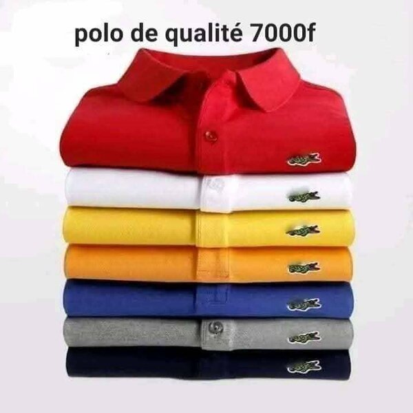Polos de qualité pour hommes