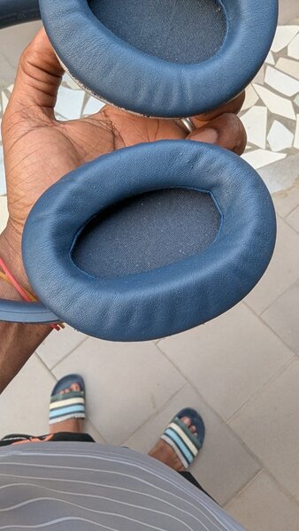 Écouteurs Sony bleus