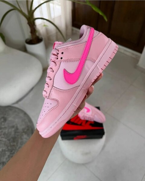 Nike sb rose