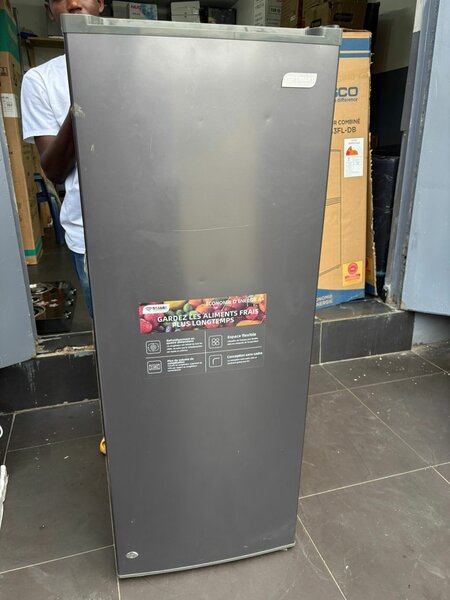 Congélateur vertical spacieux