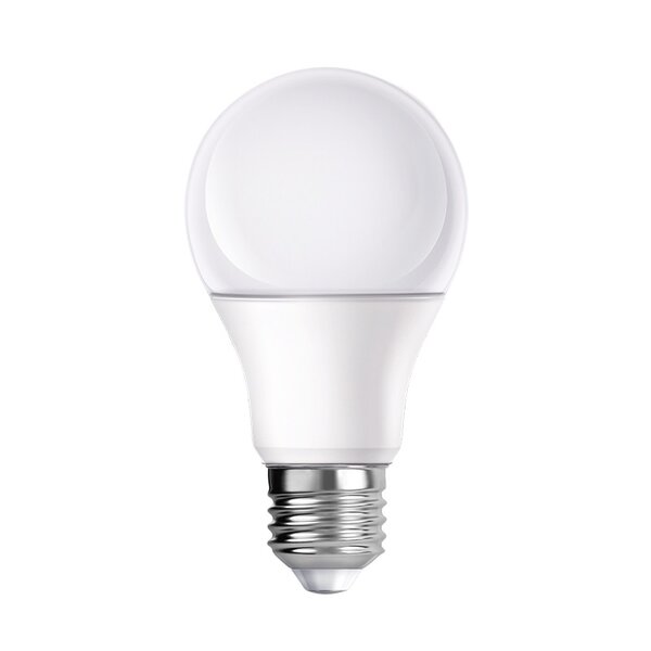 30W LED AMPOULES E27 (2 pièces)