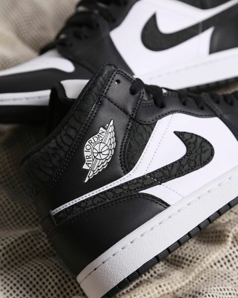 Air Jordan Sneakers Noir et Blanc