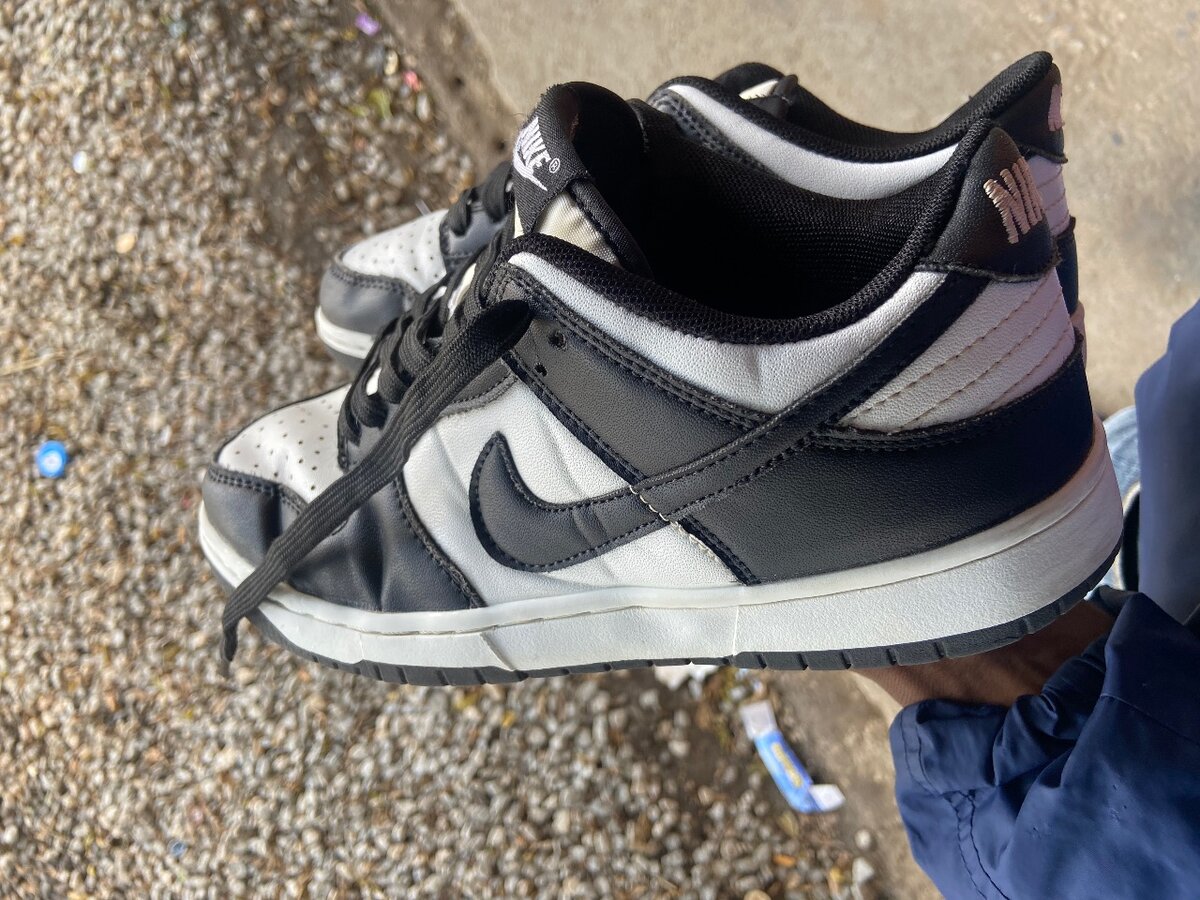 Nike dunks(black and white in colour
