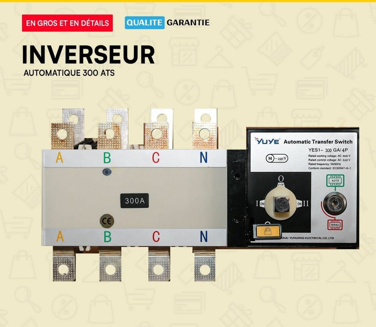 Inverseur Automatique 100A