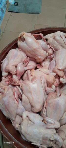 Poulet de chair frais et fumé