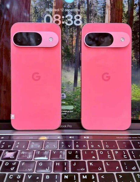 Google Pixel 9 Pro Coque Rose