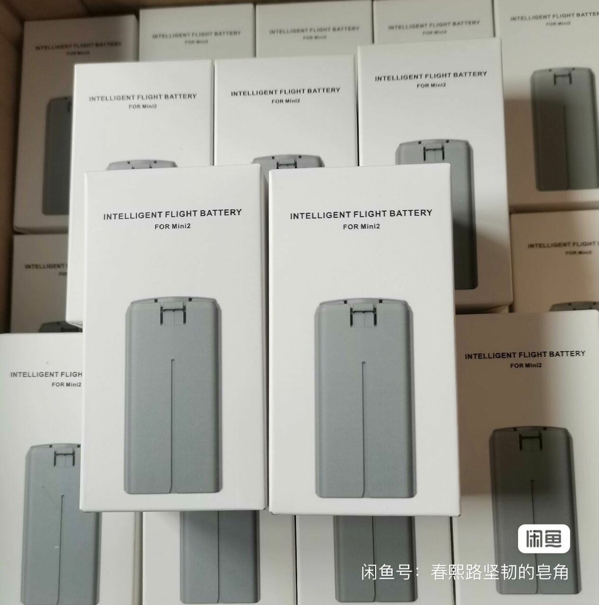 Batterie Intelligente Pour Mini 2