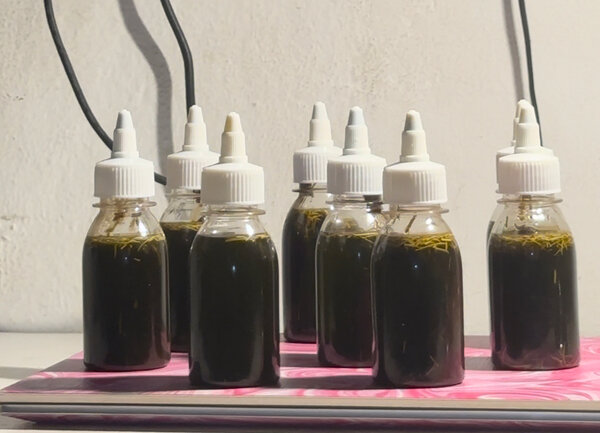 Huile capillaire naturelle