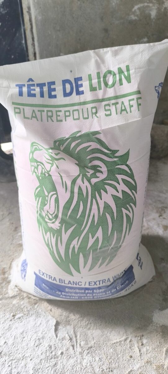 Plâtre de Paris Tête de Lion