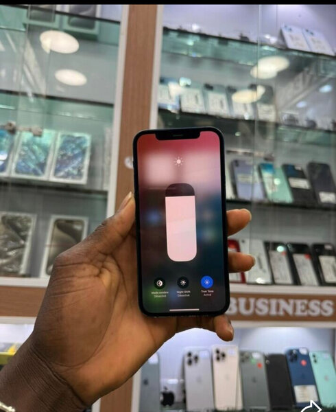 iPhone 12 Bleu 128 Go