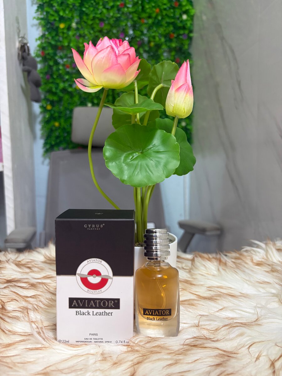 Parfum homme Aviator