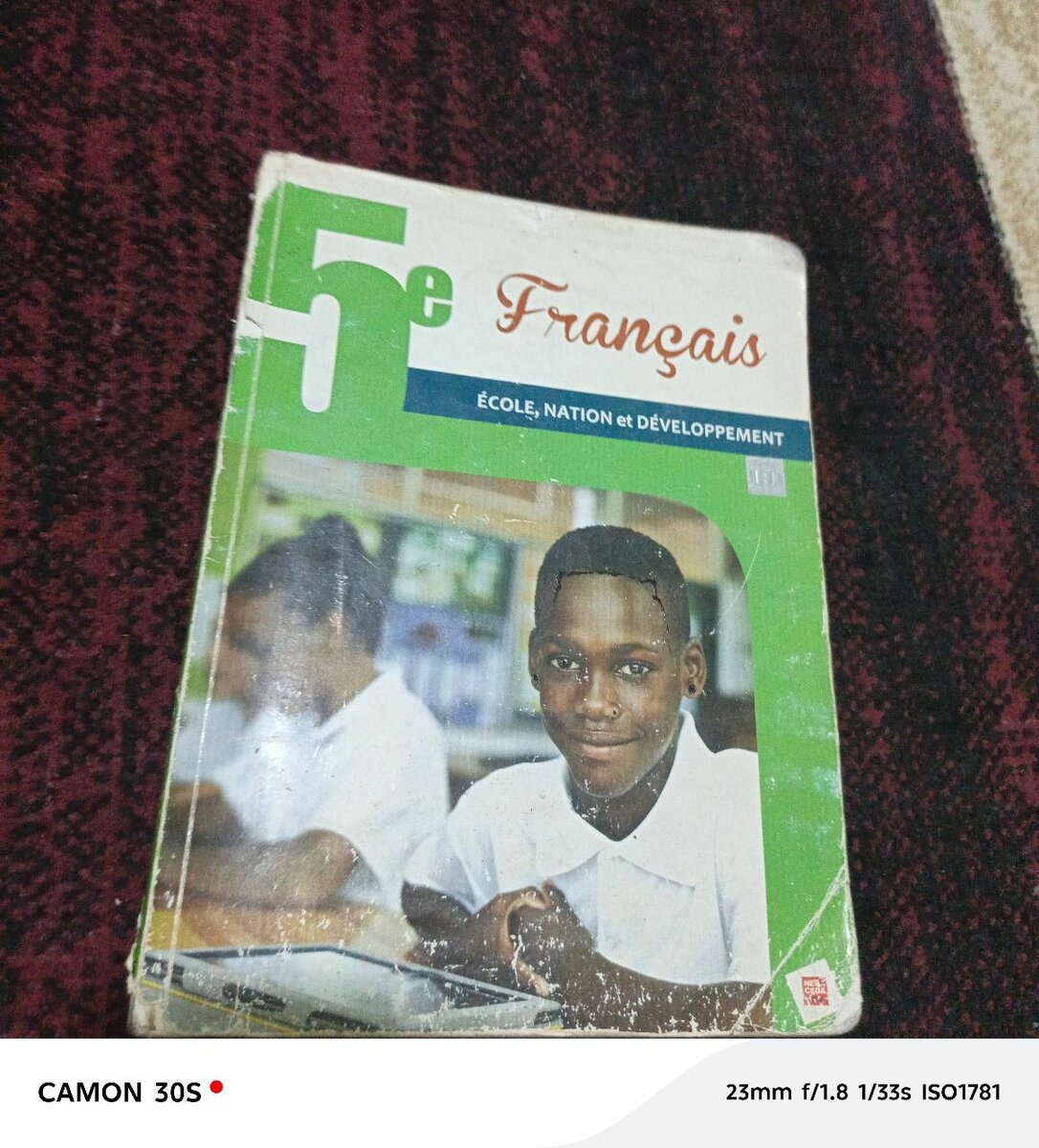 Manuels scolaires de langue