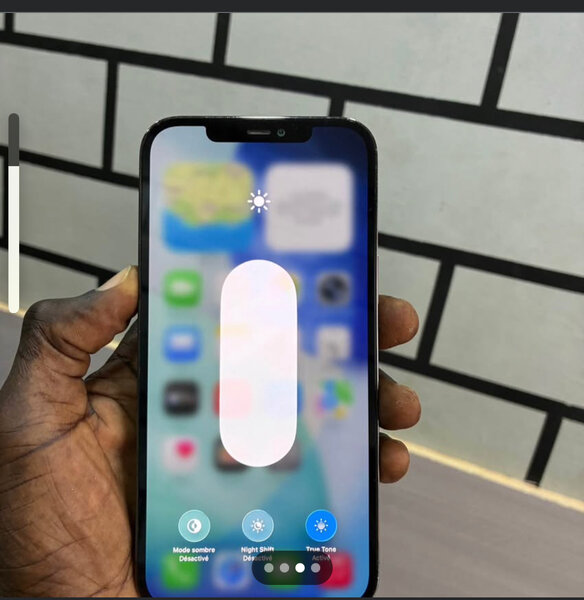 iPhone 12 Pro Max 128GB Gris