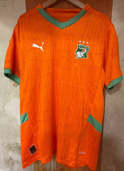 Maillot Côte d'Ivoire Puma