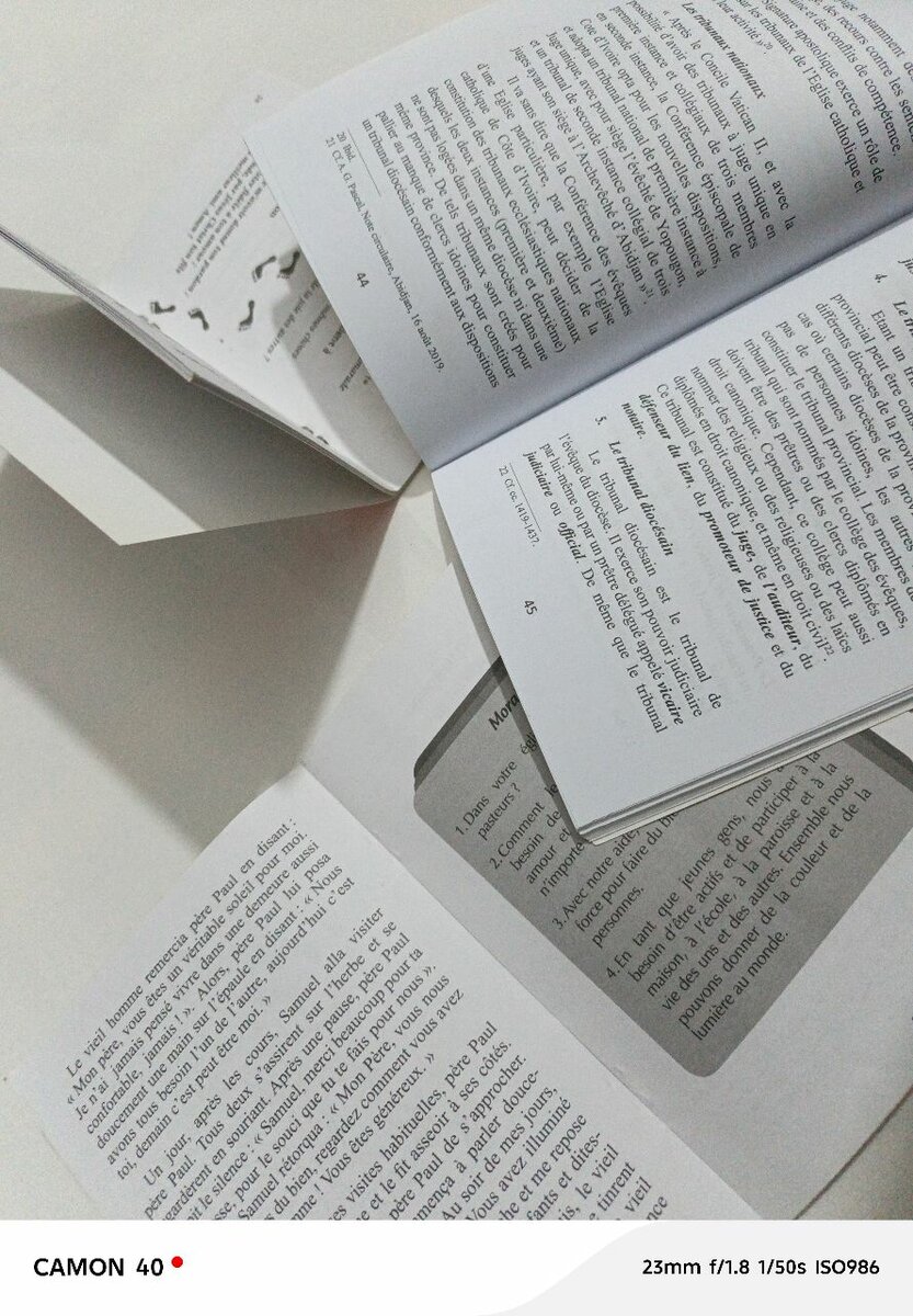 Tribunal de l'Église Catholique