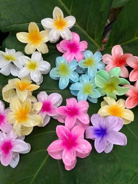 Pinces à cheveux fleuries