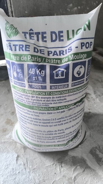 Plâtre de Paris Tête de Lion