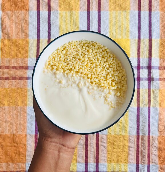 Dèguè au maïs jaune