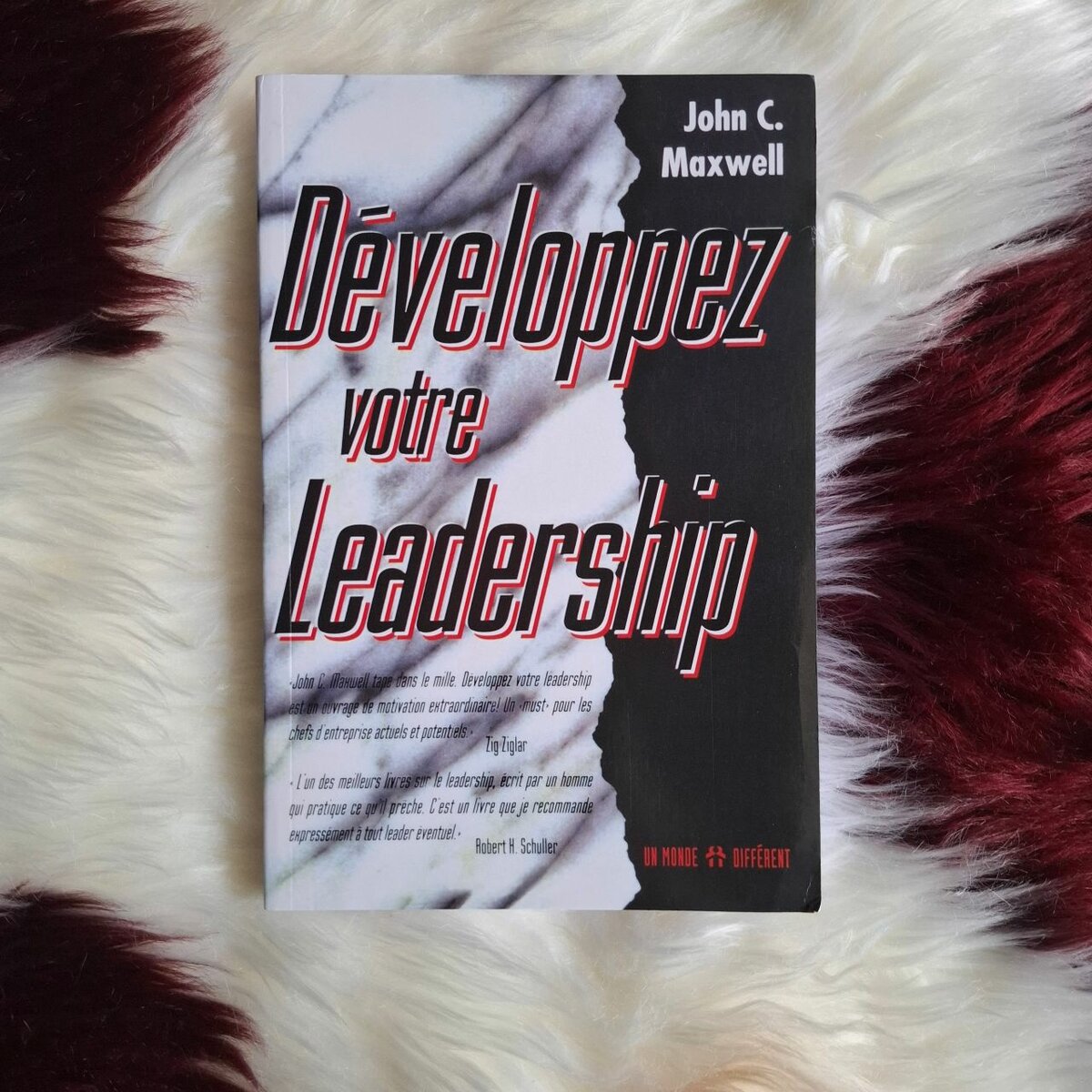 Développez votre Leadership