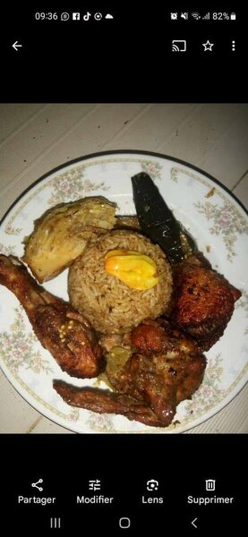 Délicieux Plat de Riz avec Poulet