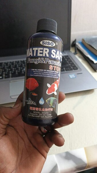 Traitement Anti-Algues Aquarium