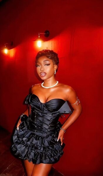 Robe bustier élégante