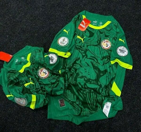 Maillot de Football Vert Puma