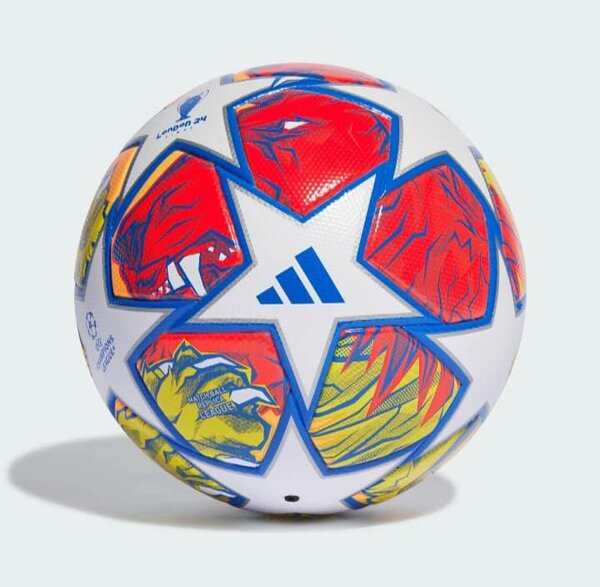 Ballon en cuire Champions L.