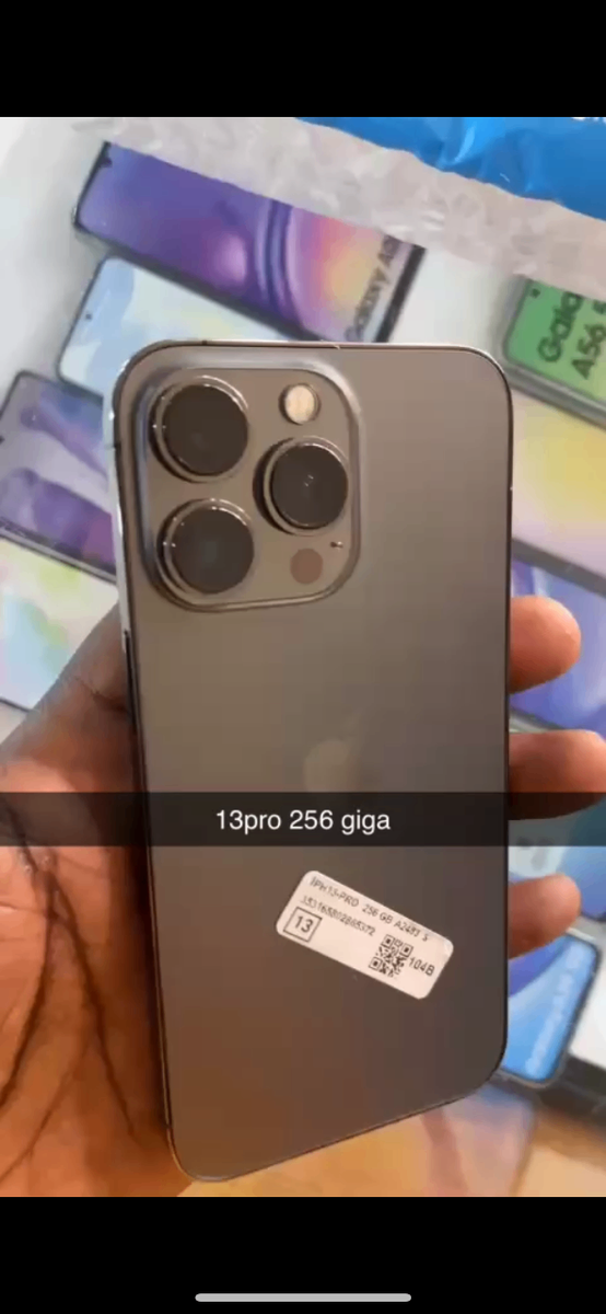 iPhone 13 Pro 256 Go casineuf