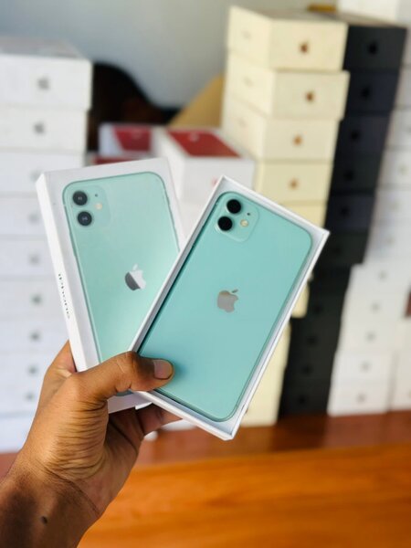 iPhone 11 Vert Neuf