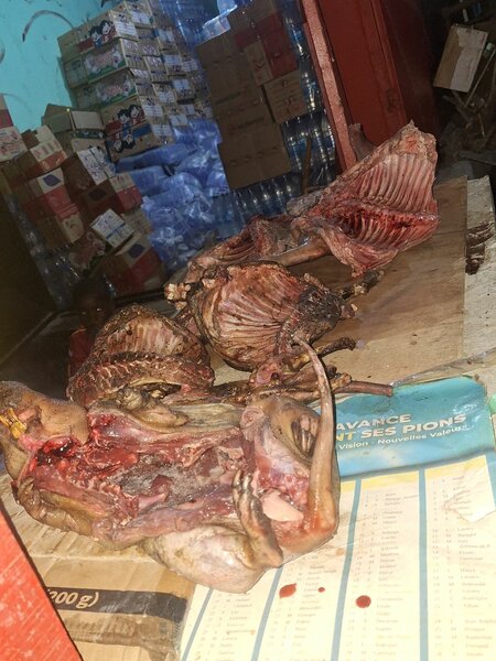 Viande fraîche exotique